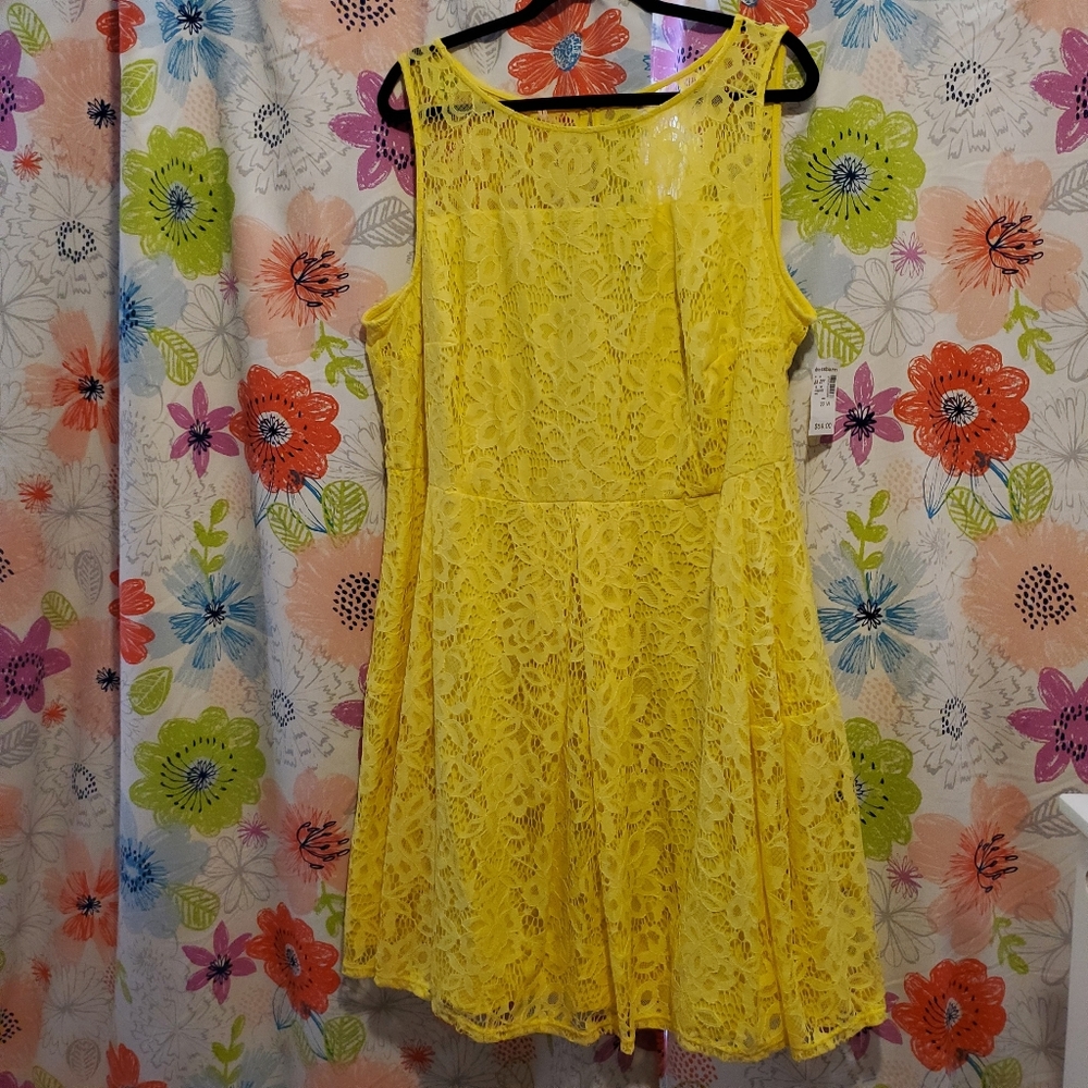 Dressbarn Roz & Ali Plus Size Lace Dress